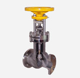 Accessible Bellows Sealed Valve